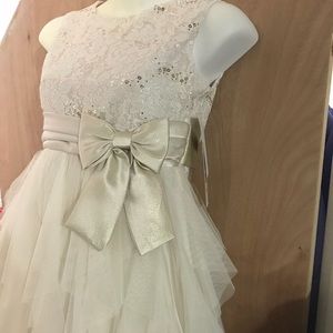 Rare Editions Ivroy dress size 6 girls